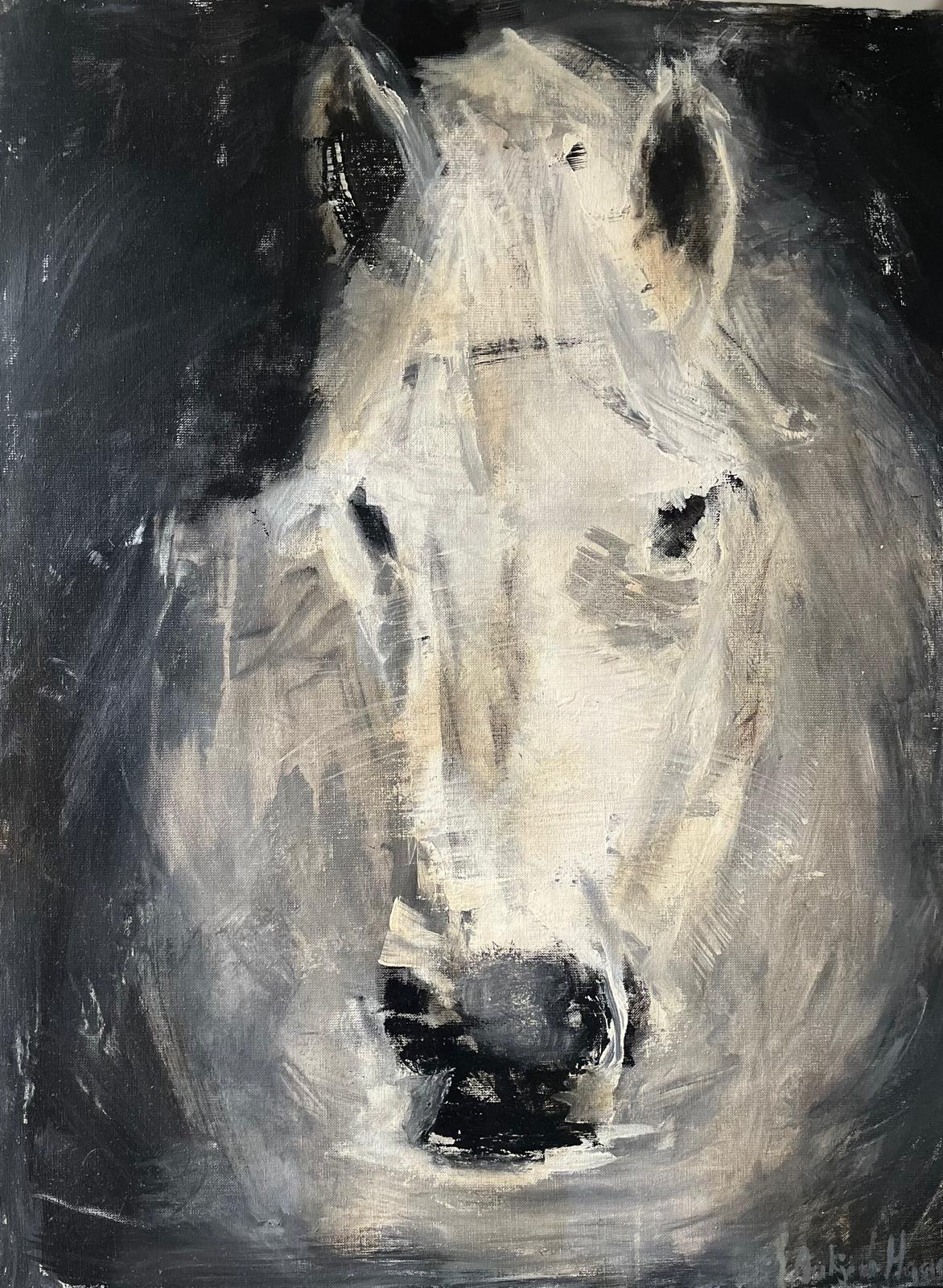 Paard
